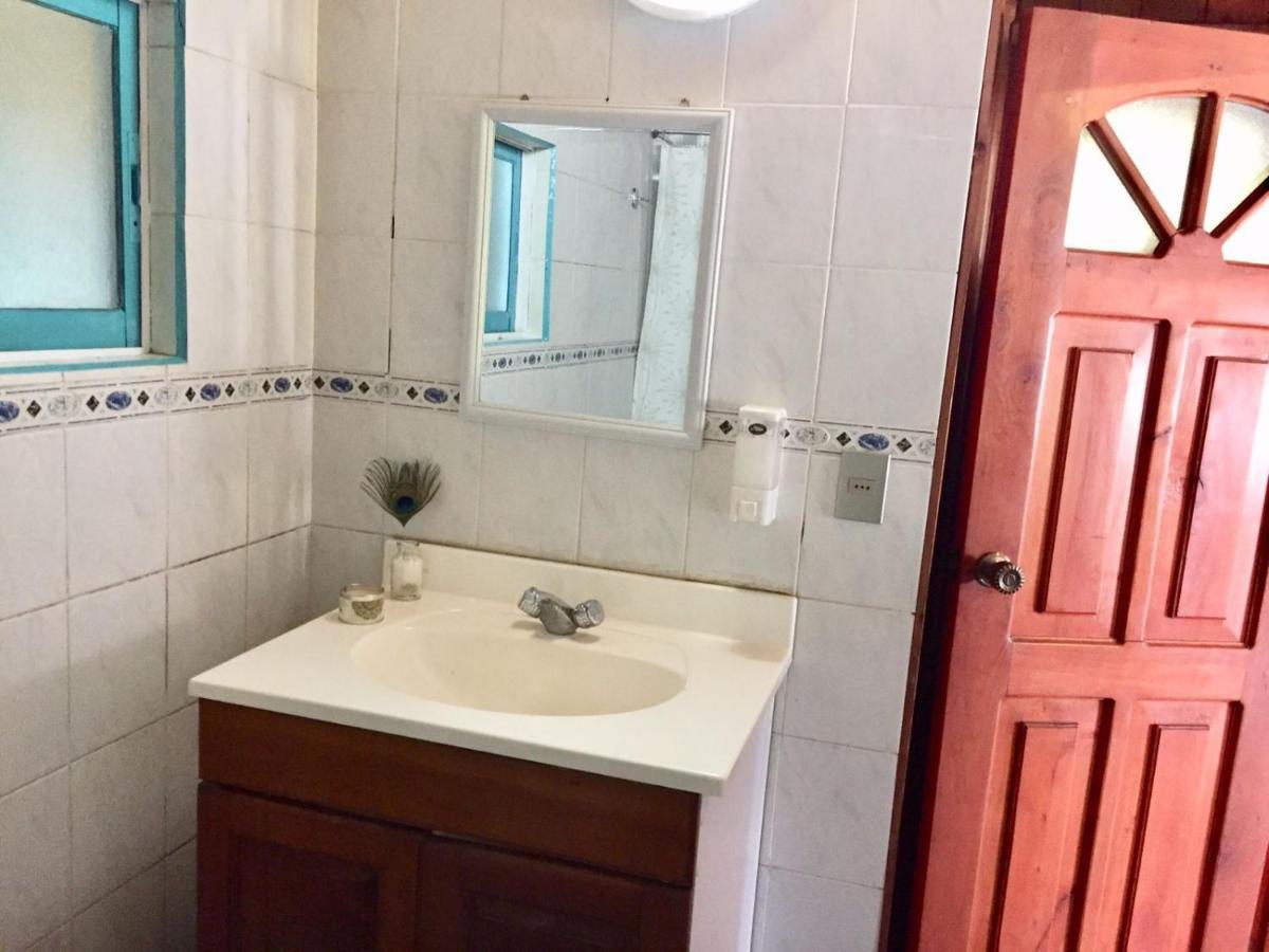 פוקון Hostel Raiz מראה חיצוני תמונה
